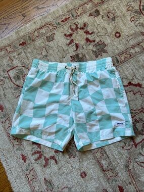 Duvin Mint Check Swim Shorts